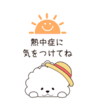 『ビションフリーゼ』夏のごあいさつ（個別スタンプ：10）
