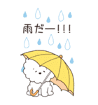 『ビションフリーゼ』夏のごあいさつ（個別スタンプ：15）