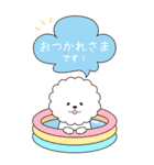 『ビションフリーゼ』夏のごあいさつ（個別スタンプ：18）