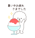 『ビションフリーゼ』夏のごあいさつ（個別スタンプ：19）
