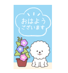 『ビションフリーゼ』夏のごあいさつ（個別スタンプ：22）