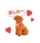 トマトちゃんの可愛いスタンプです❕（個別スタンプ：4）
