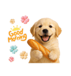 かわいいゴールデンレトリバーの犬スタンプ（個別スタンプ：1）