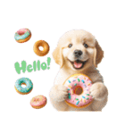かわいいゴールデンレトリバーの犬スタンプ（個別スタンプ：2）