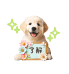 かわいいゴールデンレトリバーの犬スタンプ（個別スタンプ：8）