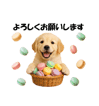 かわいいゴールデンレトリバーの犬スタンプ（個別スタンプ：11）