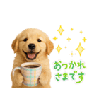 かわいいゴールデンレトリバーの犬スタンプ（個別スタンプ：12）