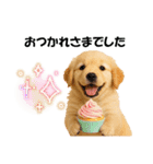 かわいいゴールデンレトリバーの犬スタンプ（個別スタンプ：13）