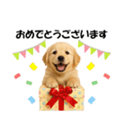 かわいいゴールデンレトリバーの犬スタンプ（個別スタンプ：16）