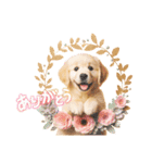 かわいいゴールデンレトリバーの犬スタンプ（個別スタンプ：18）