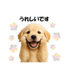 かわいいゴールデンレトリバーの犬スタンプ（個別スタンプ：20）