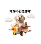 かわいいゴールデンレトリバーの犬スタンプ（個別スタンプ：21）
