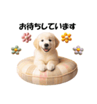 かわいいゴールデンレトリバーの犬スタンプ（個別スタンプ：23）