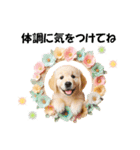 かわいいゴールデンレトリバーの犬スタンプ（個別スタンプ：27）