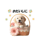 かわいいゴールデンレトリバーの犬スタンプ（個別スタンプ：28）