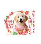 かわいいゴールデンレトリバーの犬スタンプ（個別スタンプ：32）