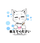 可愛いイラスト、猫の日常（個別スタンプ：5）