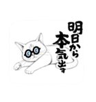 可愛いイラスト、猫の日常（個別スタンプ：14）