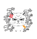可愛いイラスト、猫の日常（個別スタンプ：17）