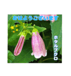 7月のお花を添えて日常のご挨拶（個別スタンプ：11）