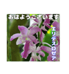 7月のお花を添えて日常のご挨拶（個別スタンプ：18）