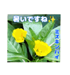 7月のお花を添えて日常のご挨拶（個別スタンプ：20）