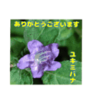 7月のお花を添えて日常のご挨拶（個別スタンプ：32）