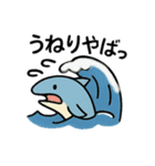 わーばりぃまりん。サメ版（個別スタンプ：3）