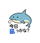 わーばりぃまりん。サメ版（個別スタンプ：13）