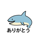 わーばりぃまりん。サメ版（個別スタンプ：16）