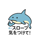 わーばりぃまりん。サメ版（個別スタンプ：17）