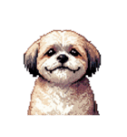 無言でリアクションするシーズー（個別スタンプ：11）