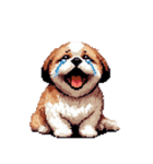 無言でリアクションするシーズー（個別スタンプ：29）