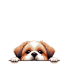 無言でリアクションするシーズー（個別スタンプ：35）