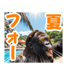 サングラスしたゴリラの夏2【関西弁】（個別スタンプ：1）