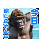 サングラスしたゴリラの夏2【関西弁】（個別スタンプ：6）