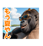 サングラスしたゴリラの夏2【関西弁】（個別スタンプ：7）