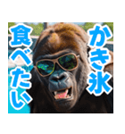 サングラスしたゴリラの夏2【関西弁】（個別スタンプ：13）