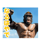 サングラスしたゴリラの夏2【関西弁】（個別スタンプ：30）