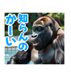 サングラスしたゴリラの夏2【関西弁】（個別スタンプ：33）