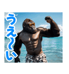 サングラスしたゴリラの夏2【関西弁】（個別スタンプ：38）