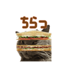 こふくちゃん オニャンコラージュver.1.0（個別スタンプ：2）