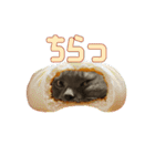 こふくちゃん オニャンコラージュver.1.0（個別スタンプ：8）