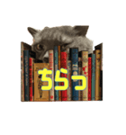 こふくちゃん オニャンコラージュver.1.0（個別スタンプ：12）