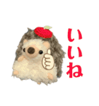 ハリネズミファミリーの日常（個別スタンプ：14）