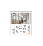漆黒の翼プレミアムスタンプ第2段（個別スタンプ：13）