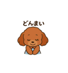 元気❣️るーちゃん（個別スタンプ：13）