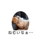 緒音1歳（個別スタンプ：2）