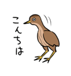 気ままなヨシゴイのスタンプ（個別スタンプ：1）