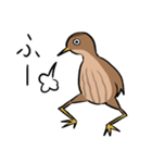 気ままなヨシゴイのスタンプ（個別スタンプ：5）